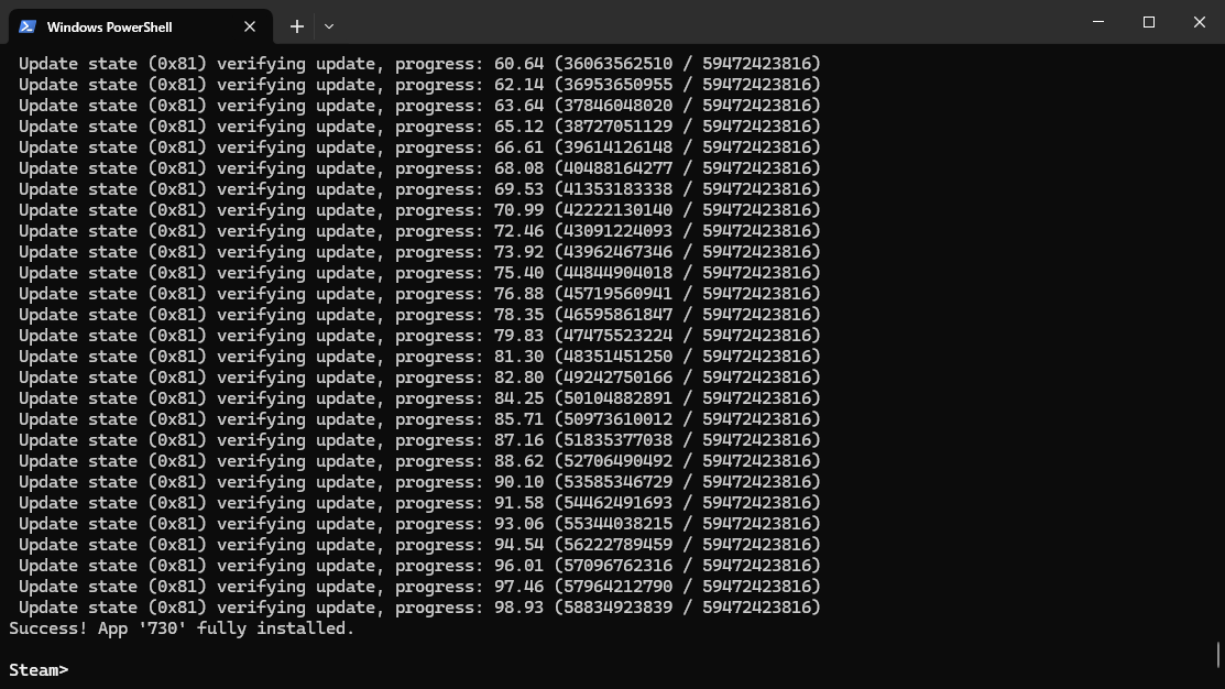 cs2server_install_sccuess.png